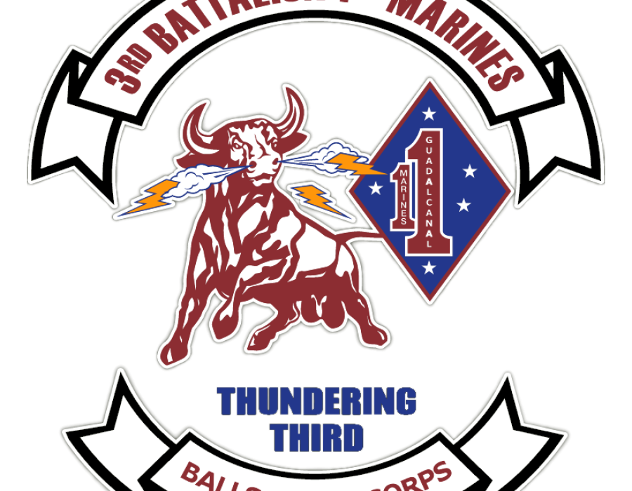 3d_Bn_1st_Mar_Logo