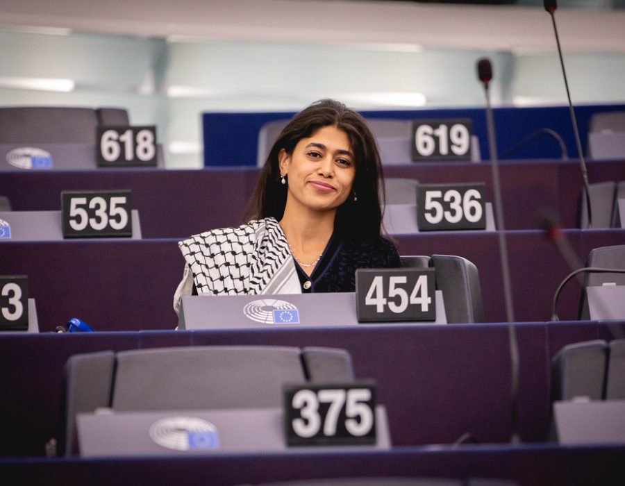Rima Hassan in het Europese Parlement - Foto: Flickr