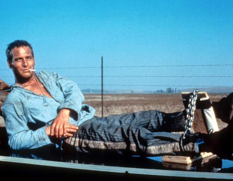Paul Newman in Cool Hand Luke Warner bros.