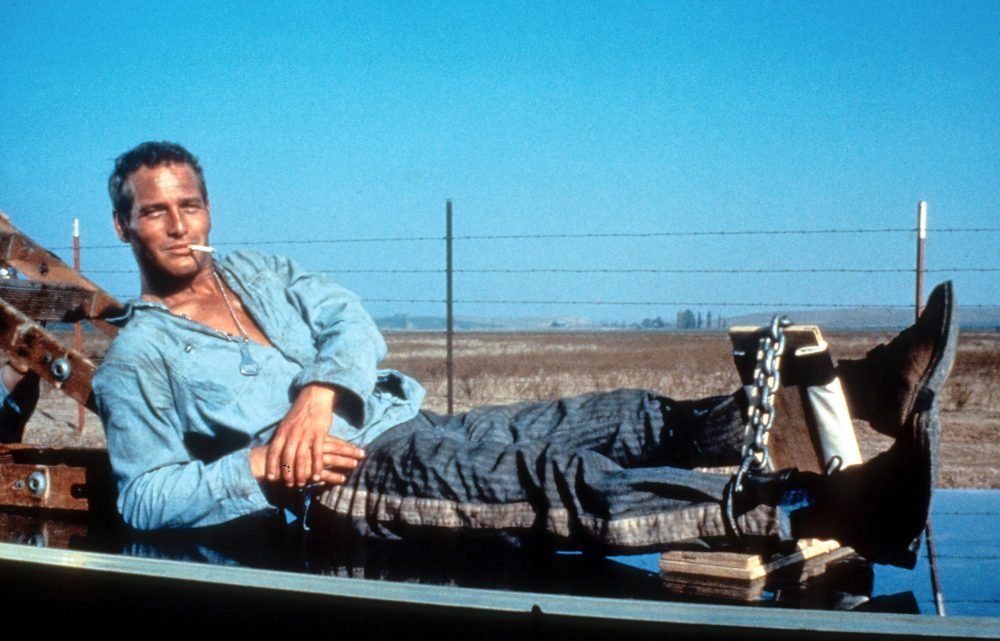 Paul Newman in Cool Hand Luke Warner bros.