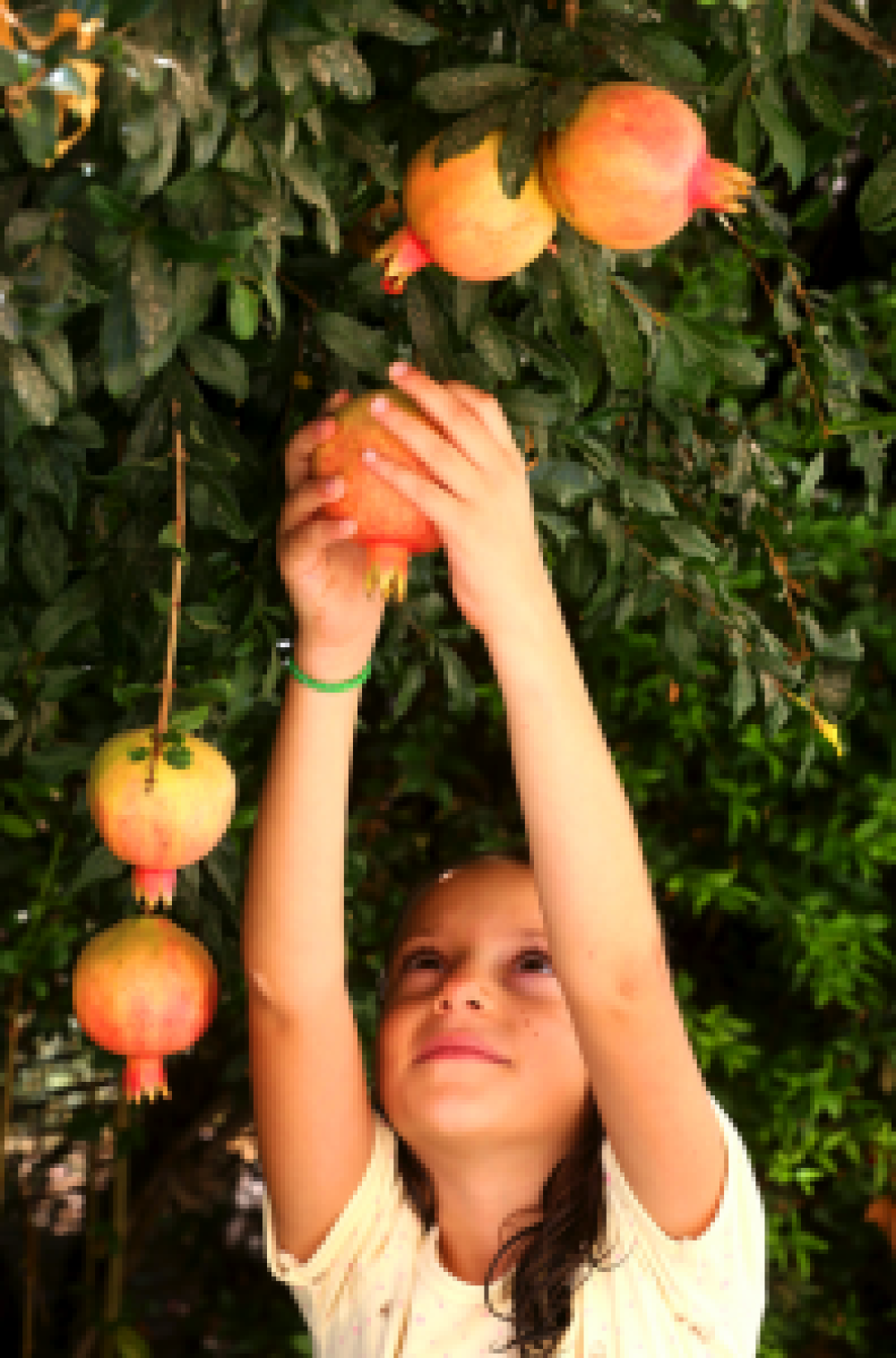 Afbeelding-169-198x3001