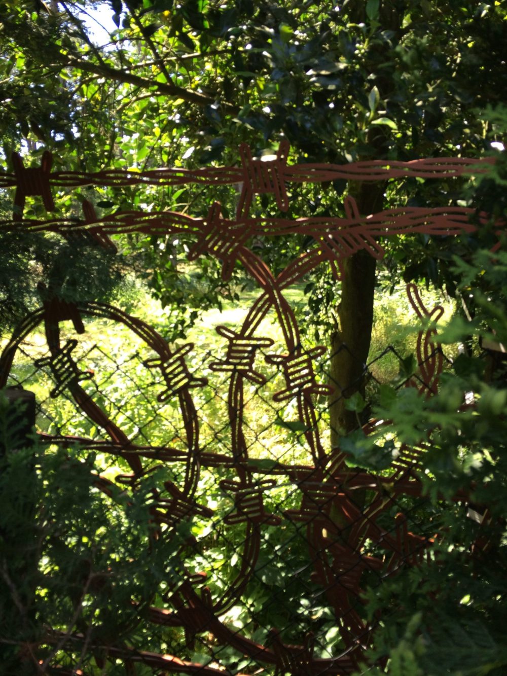 Buchenwaldhek_Foto-Frank-Kromer-rotated