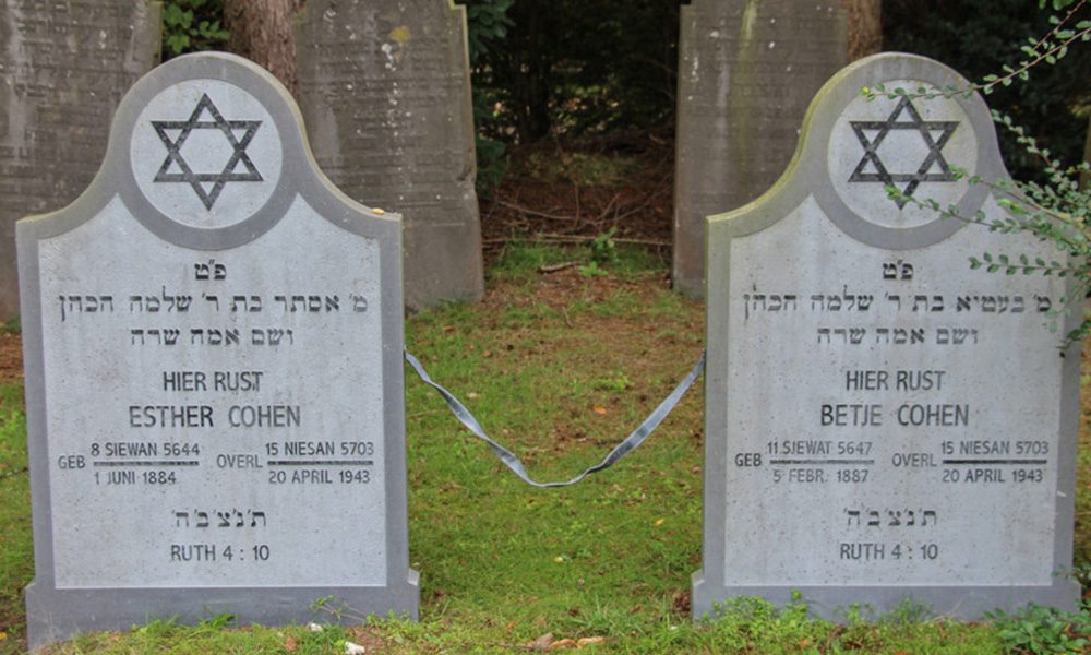 Cohen-header