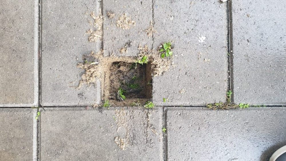 De-Stolperstein-is-vakkundig-uit-het-cement-gesloopt