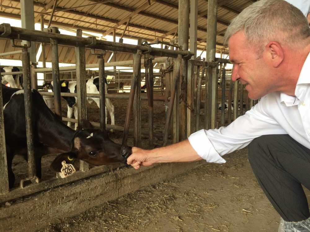 Elbert-Dijkgraaf-bezoekt-een-melkveehouderij-in-Israel-2
