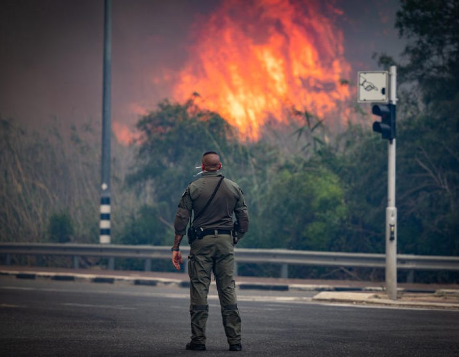 Bosbrand bij Latrun, westelijk van Jeruzalem - Foto: Flash90