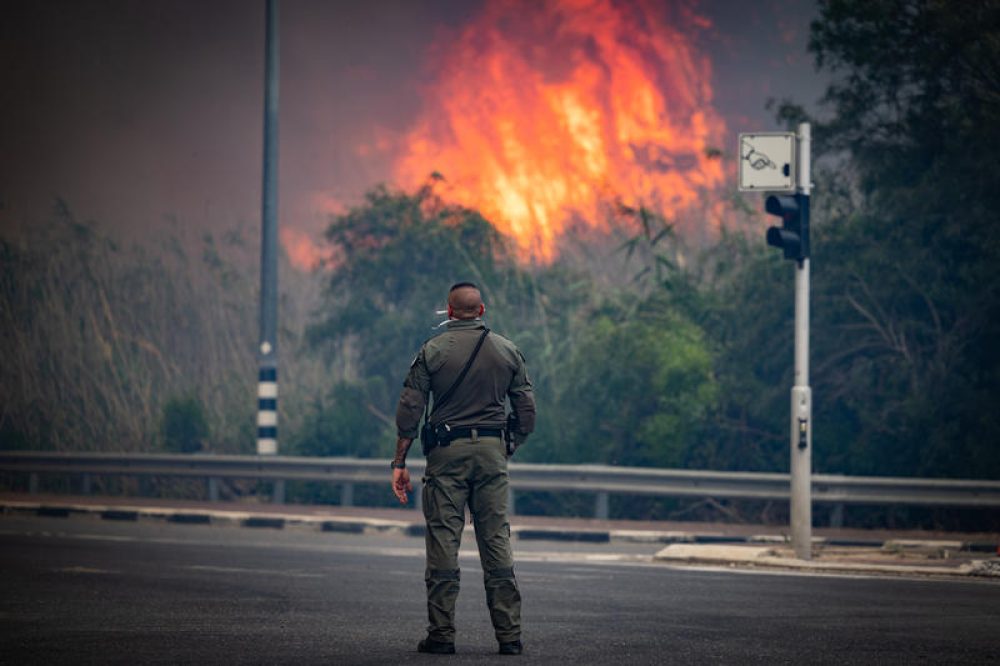 Bosbrand bij Latrun, westelijk van Jeruzalem - Foto: Flash90
