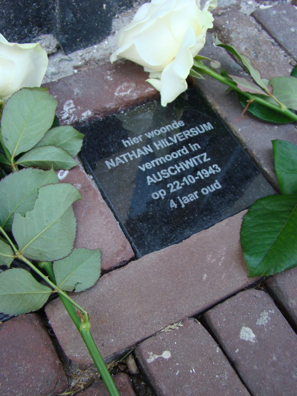 Herdenkingsstenen-Alkmaar.-Foto-Willem-Ridderhof-15