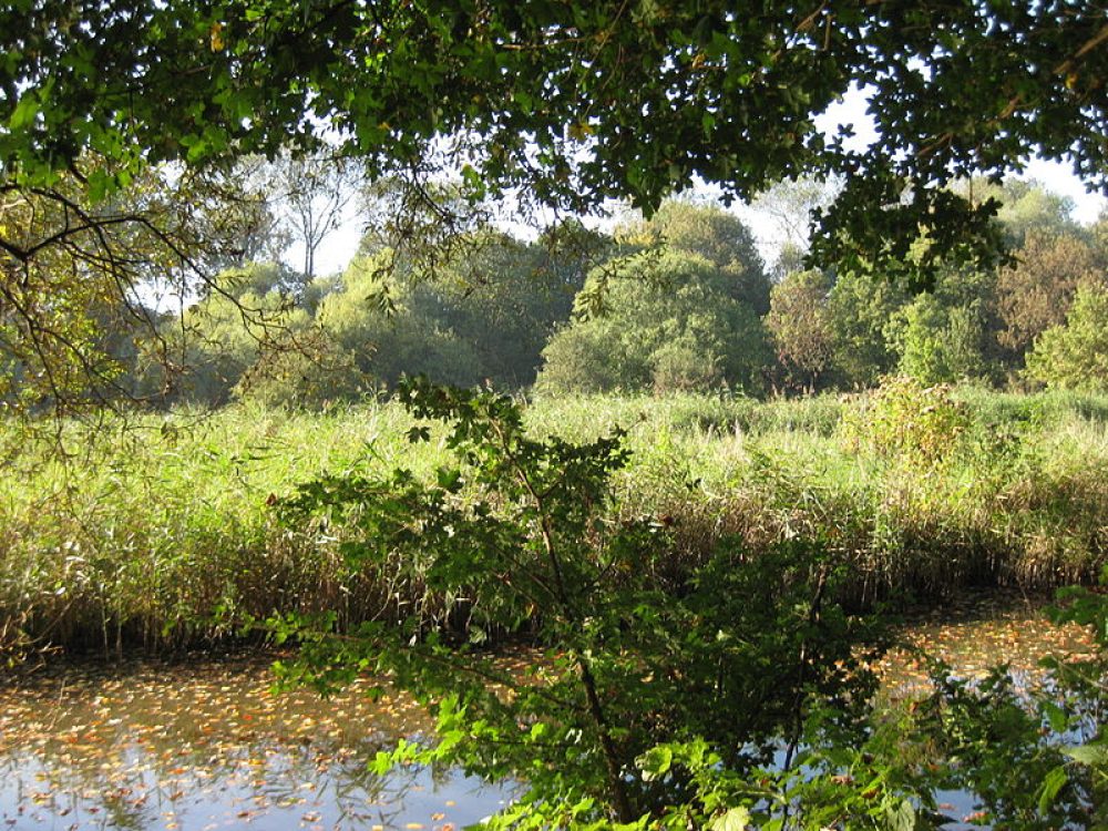 Joodse_Begraafplaats_Zeeburg
