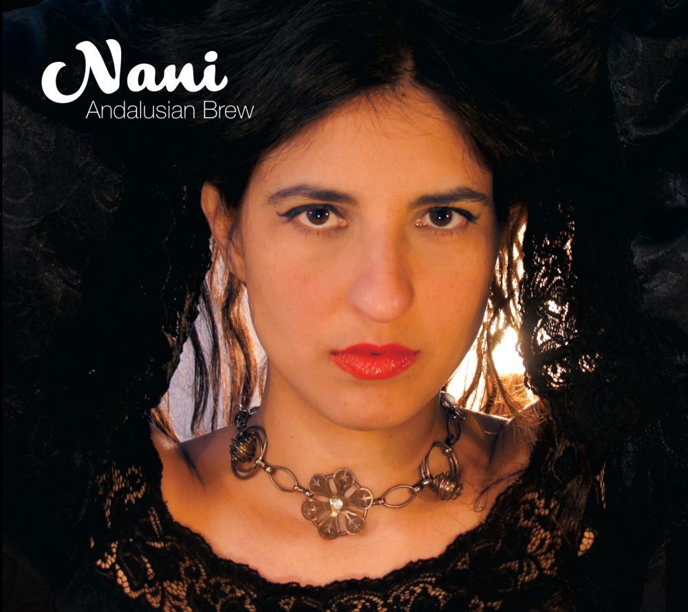 Nani_Cover_final