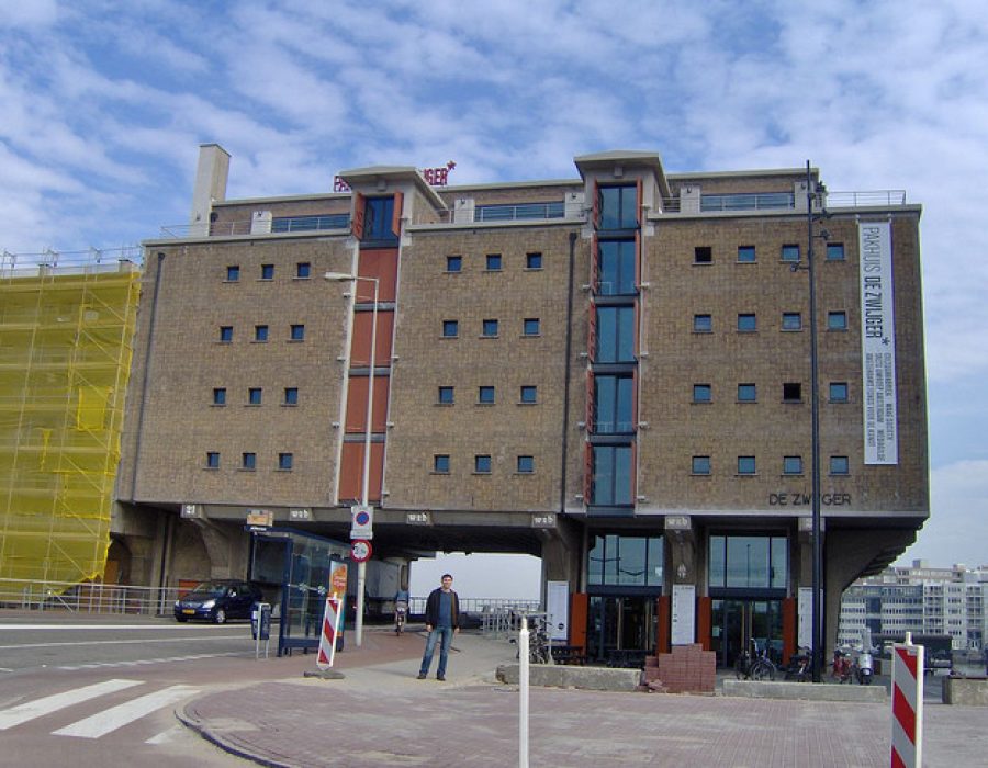 Pakhuisdezwijger