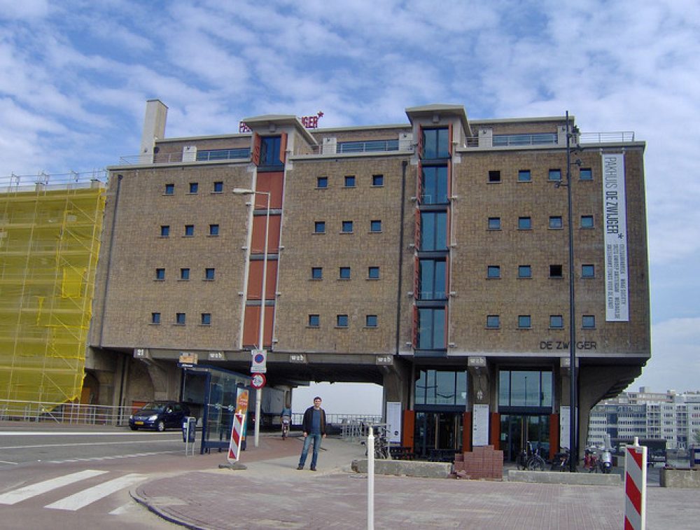 Pakhuisdezwijger