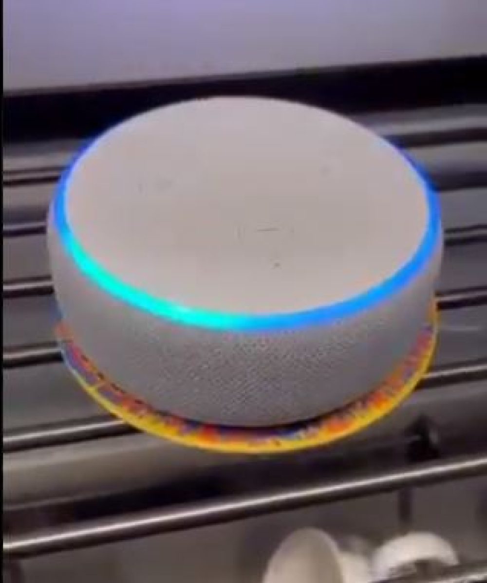 alexa