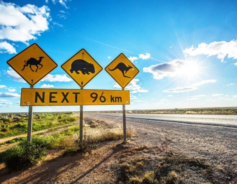 australie_trip-e1737550240480