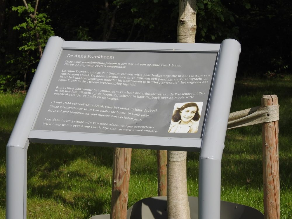 beschadiging-bord-kamp-molengoot-14mei2022-11-Aangepast