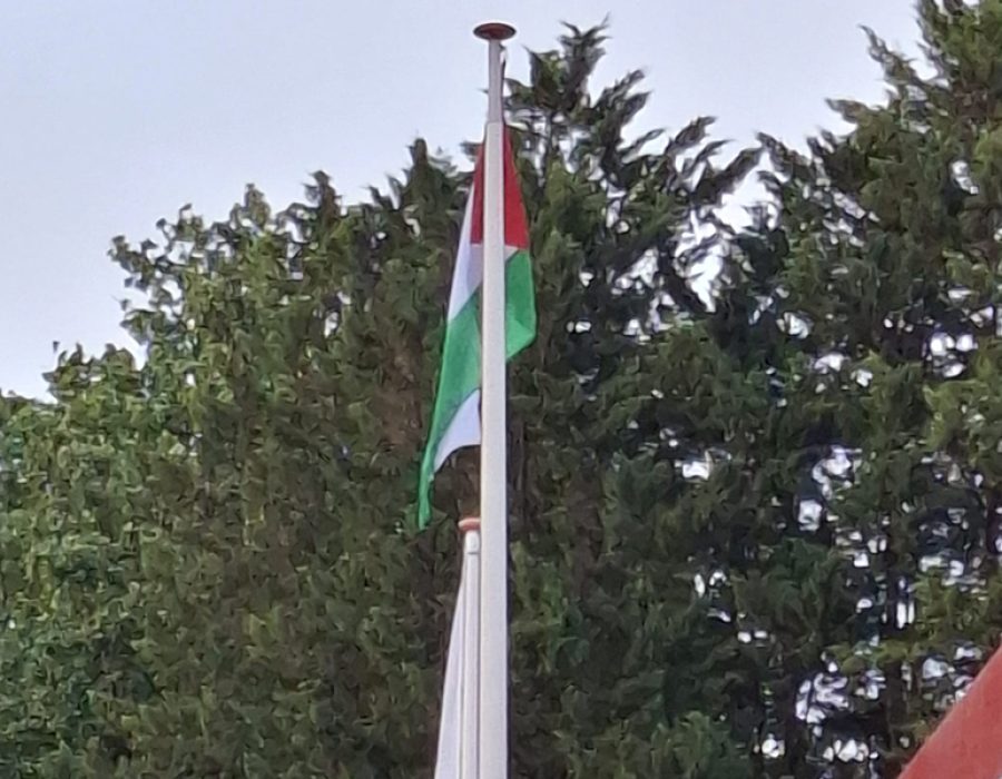 verkeerde vlag. foto Jacobs