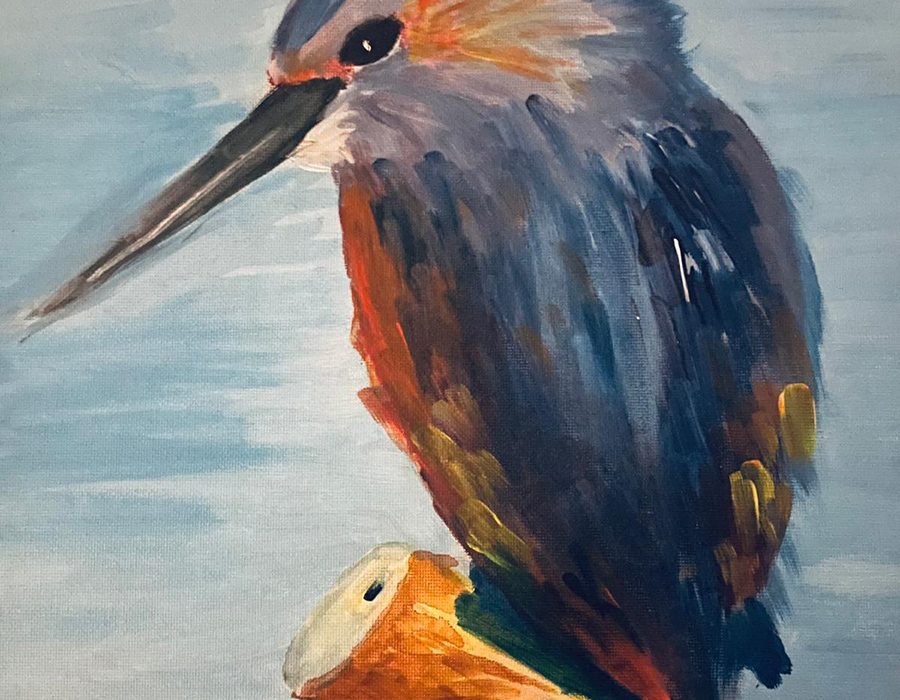 vogel-tekening-