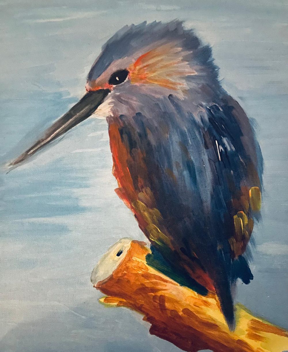 vogel-tekening-